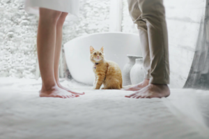 Divorced couple with cat in the middle